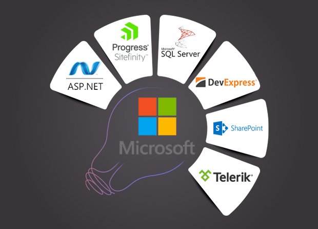 Microsoft Technologies for Web Development